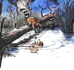 Крошка Енот и тот, кто сидит в пруду - Лилиан Муур Рис. 15