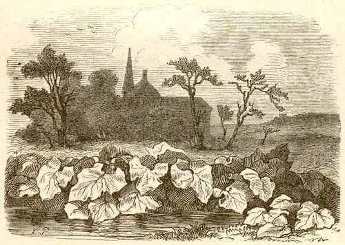 Сказки Андерсена Ганса Христиана - Счастливое семейство