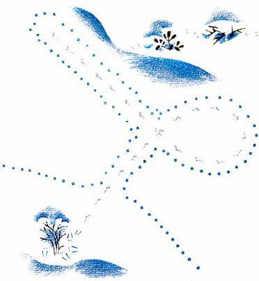 Сказки Бианки Виталий Валентинович - Снежная книга Рис. 1